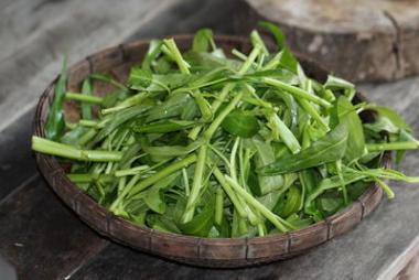 水菠菜沼澤白菜影棚在籃子里圖片