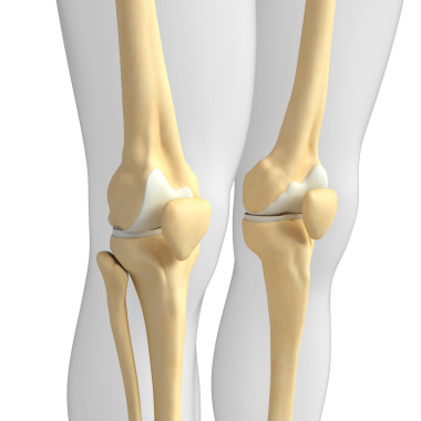 人體膝關(guān)節(jié)圖稿圖片