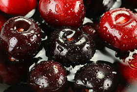 作文与新鲜樱桃图片