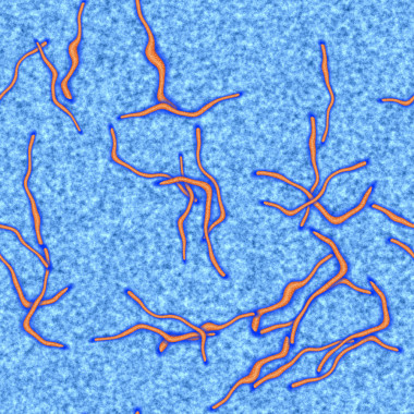 埃博拉病毒无缝生成员工纹理图片