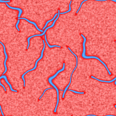 埃博拉病毒無(wú)縫生成員工紋理