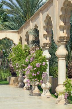 非洲风格的酒店