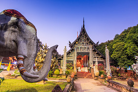 老木寺的扫管笏落马 Molee