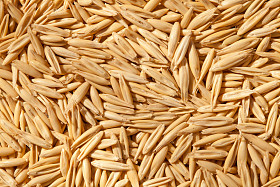 带壳的那种燕麦