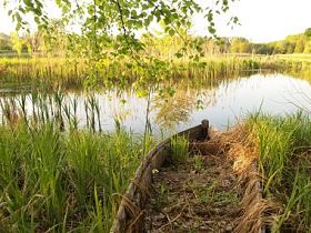 在春天湖沉船图片