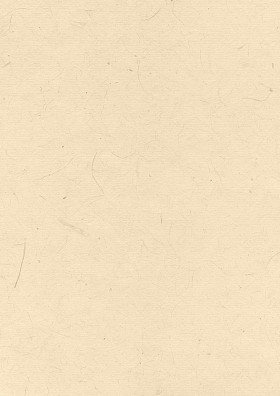 自然再生的纸纹理