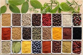 草药和香料图片