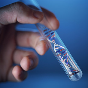 dna 分子在试管中图片