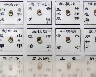 中國醫(yī)藥商店