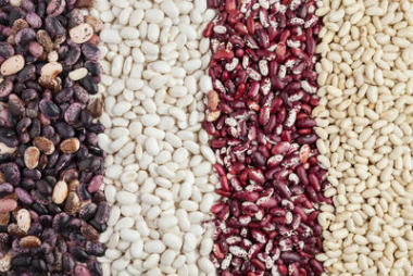 豆科植物背景圖片