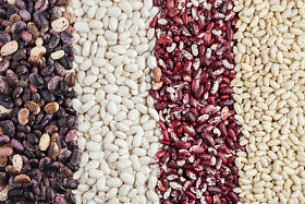 豆科植物背景图片