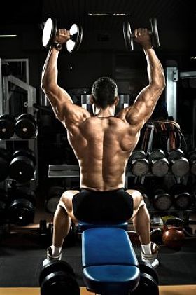 与哑铃健美先生