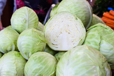白菜图片