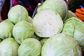 白菜图片