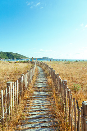 夏季 landscapece