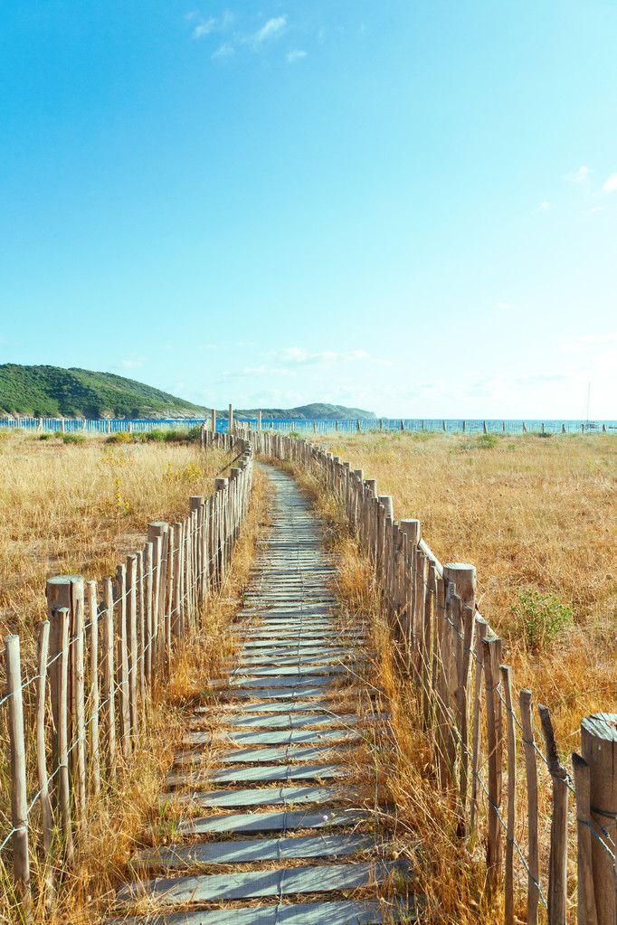 夏季 landscapece 夏季 landscapece