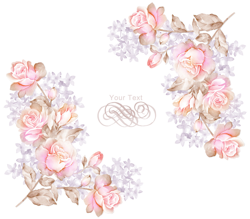 水彩花卉插图合集图片