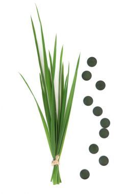 小球藻平板電腦和小麥草