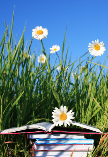 暑假的閱讀圖片