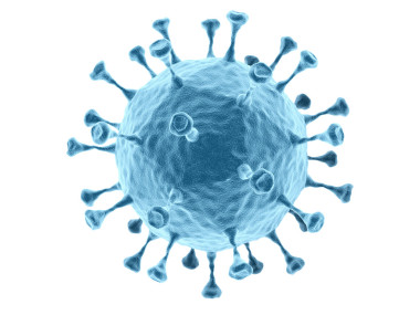 從白色背景分離出來的細(xì)