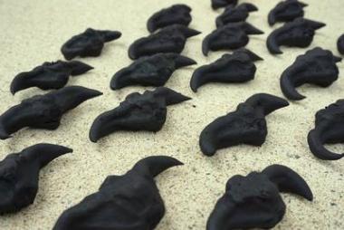 荸荠水果 4图片