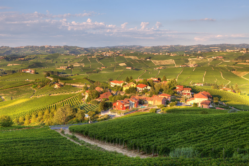 在意大利北部的葡萄园上查看