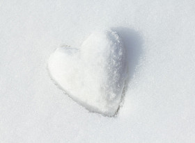 雪心