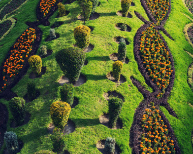 美麗的花園照片