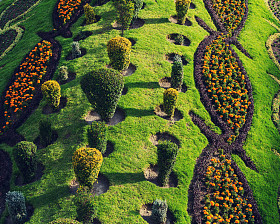 美丽的花园照片