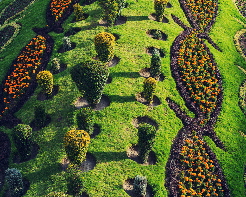 美丽的花园照片