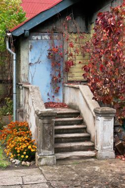 被忽略的老房子