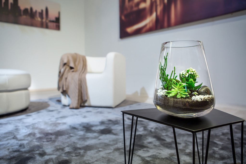 插在花瓶里的植物图片 插在花瓶里的植物图片