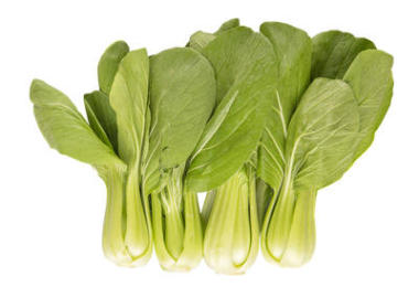 大白菜或小白菜圖片