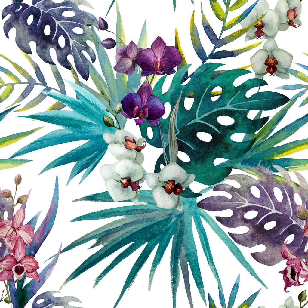 模式兰花芙蓉叶水彩热带地区