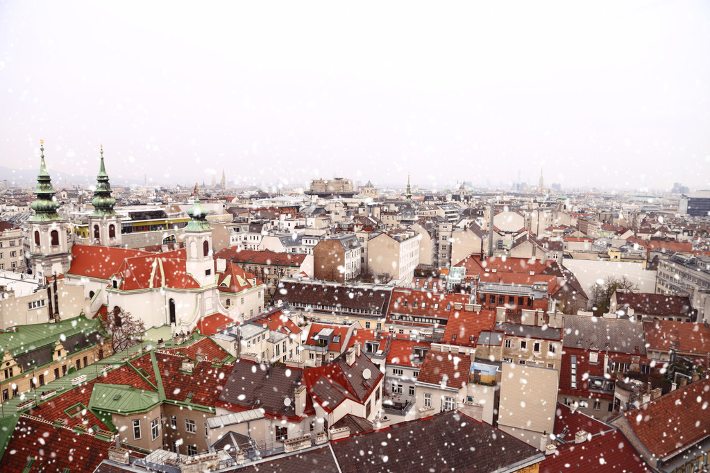 维也纳的屋顶景观,如雪 维也纳的屋顶景观,如雪