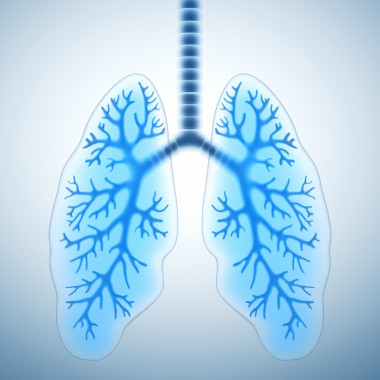 健康的肺