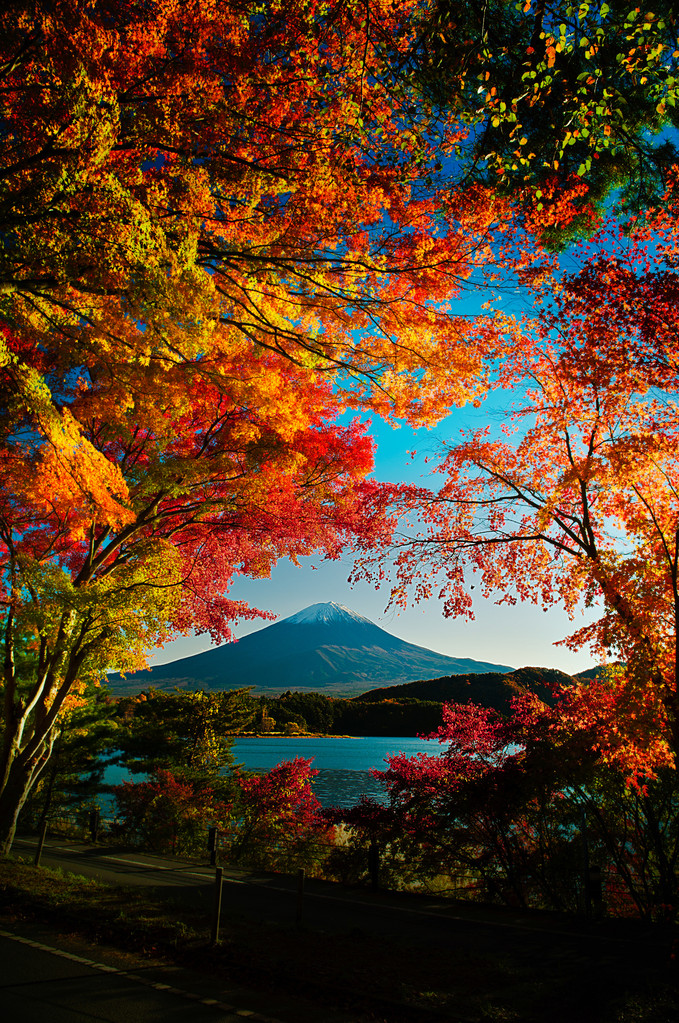 富士山图片