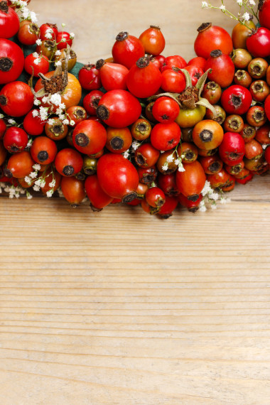 在工作的花店: 薔薇果和山楂門花圈