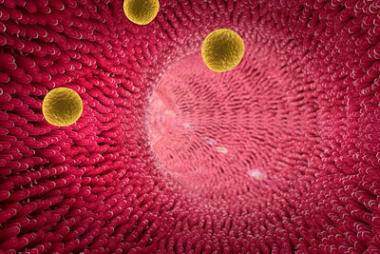 動脈膽固醇圖片