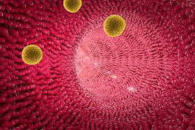 动脉胆固醇图片