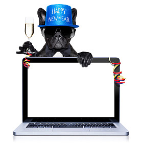 快乐新的一年狗图片