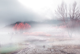 冬季景观照片