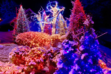 在公園里的圣誕燈圖片