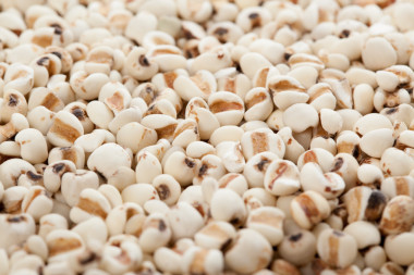 薏米為背景，紋理圖片