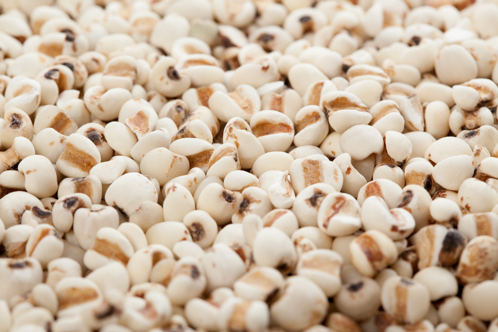 薏米为背景，纹理图片