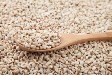 用木勺薏米照片