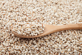 用木勺薏米照片