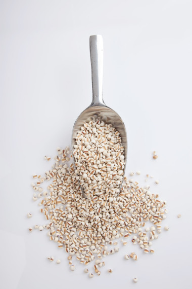 与转让勺薏米图片