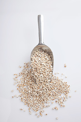 与转让勺薏米图片