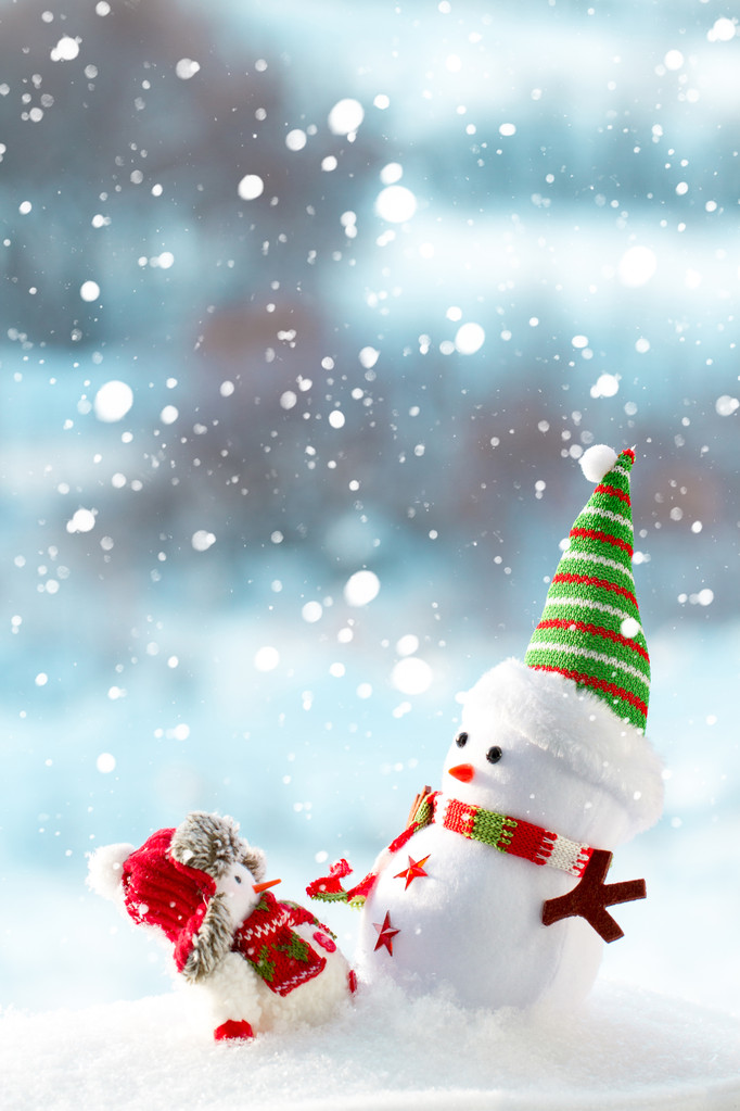 站在雪中的两个雪人 站在雪中的两个雪人